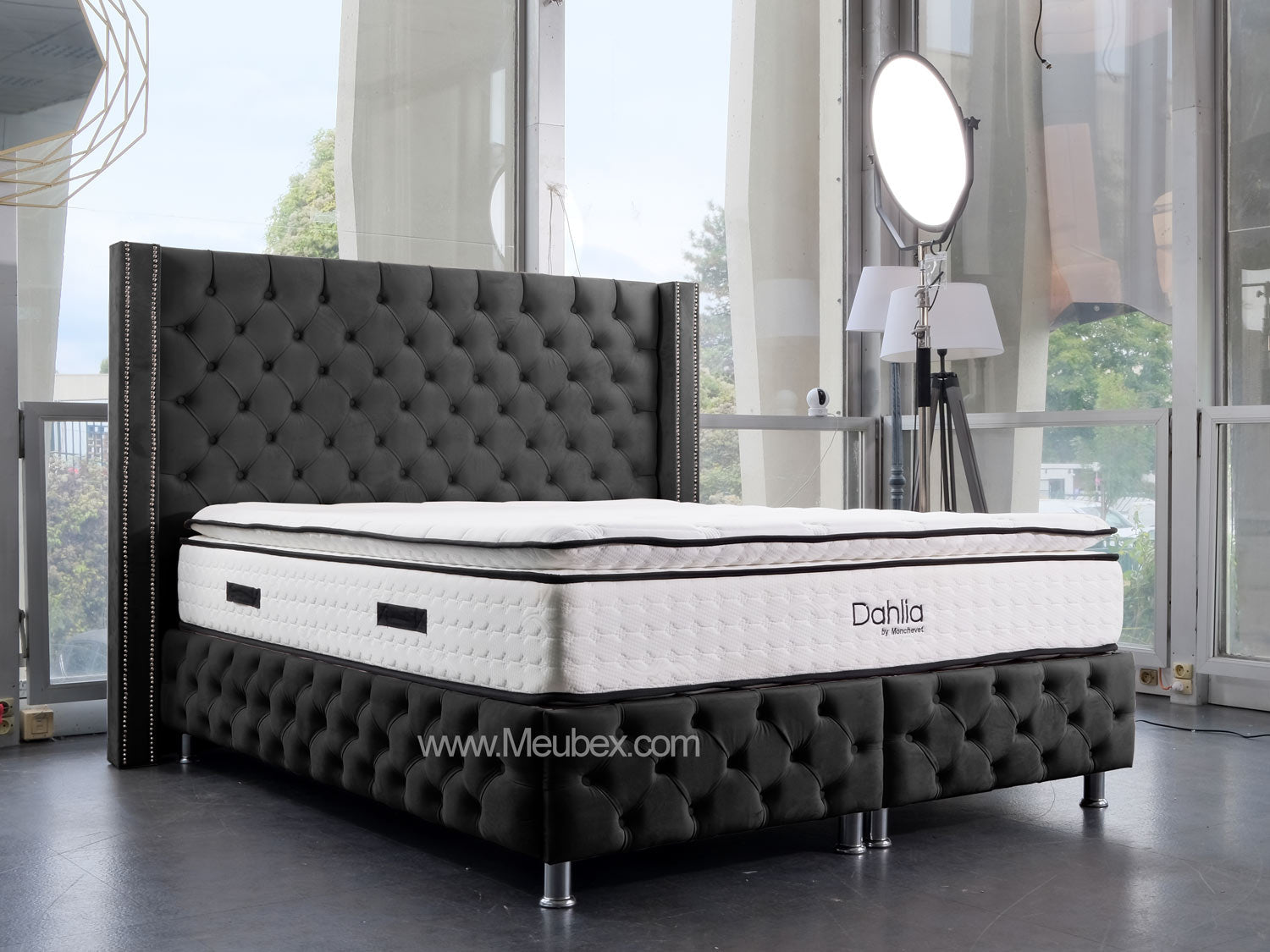 Pack Cloute | Dahlia 32cm