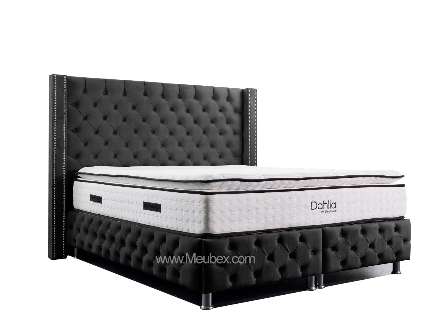 Pack Cloute | Dahlia 32cm