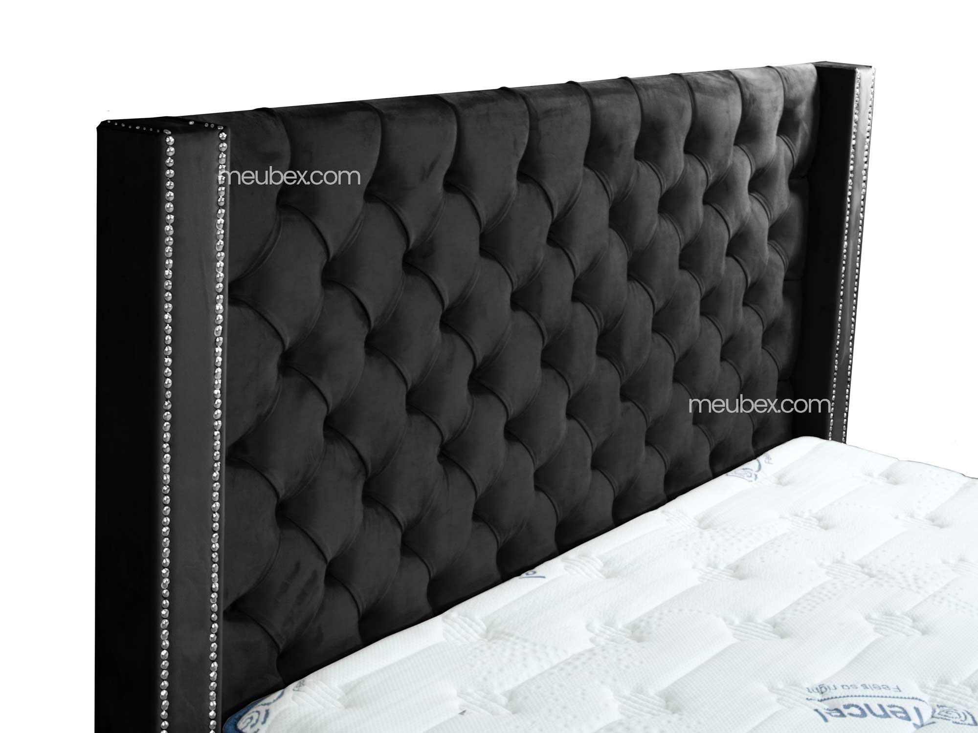 Pack Cloute | Liana 30cm