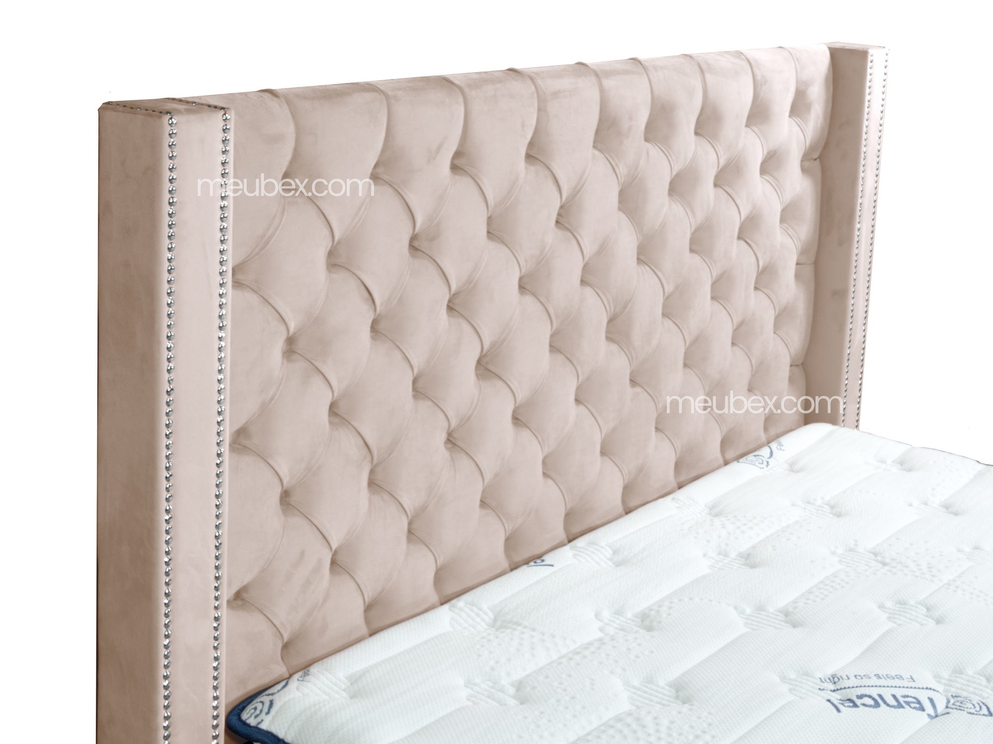 Pack Clouté Beige x Dahlia x Lexus Marbella Beige