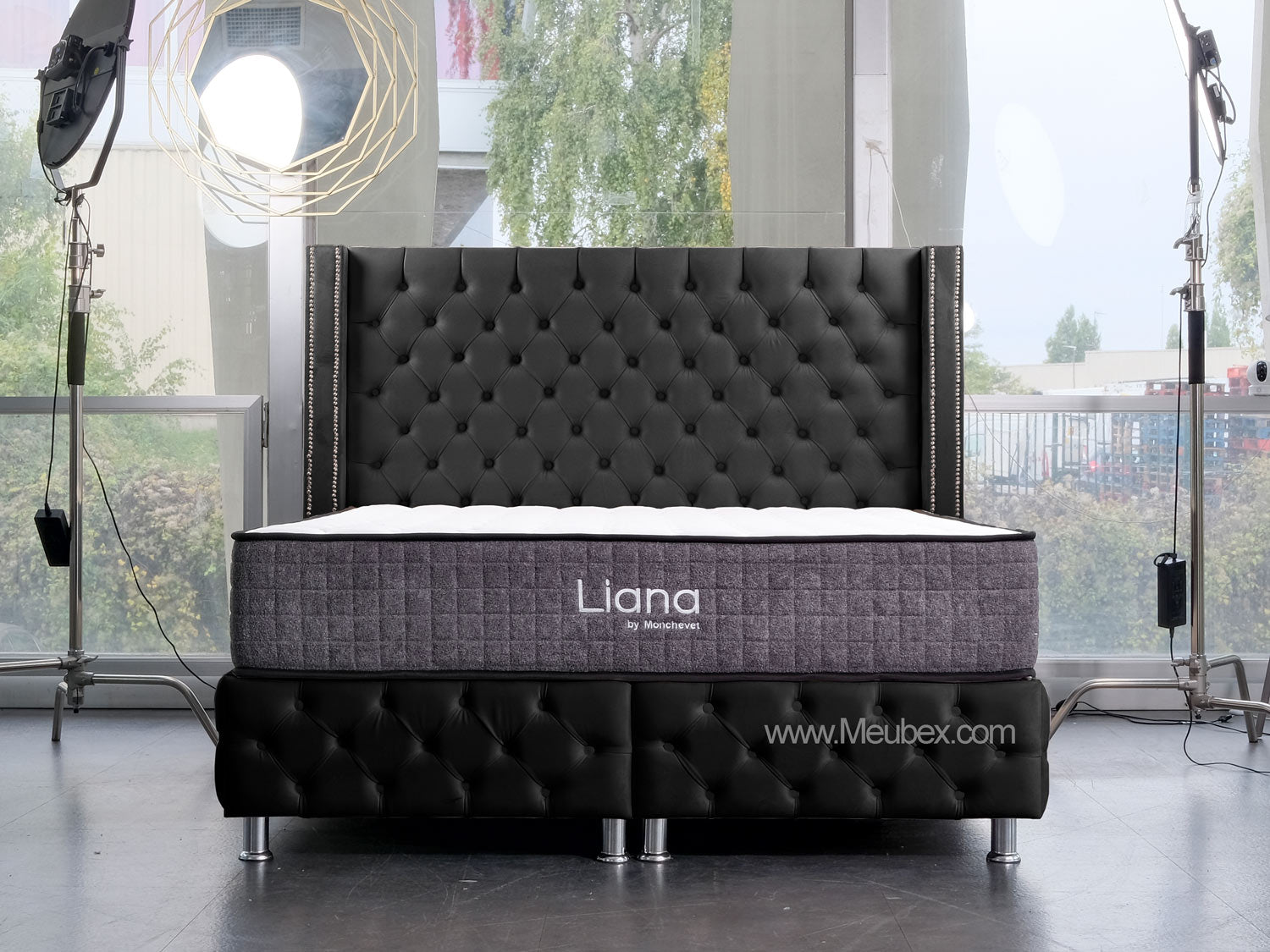Pack Cloute | Liana 30cm