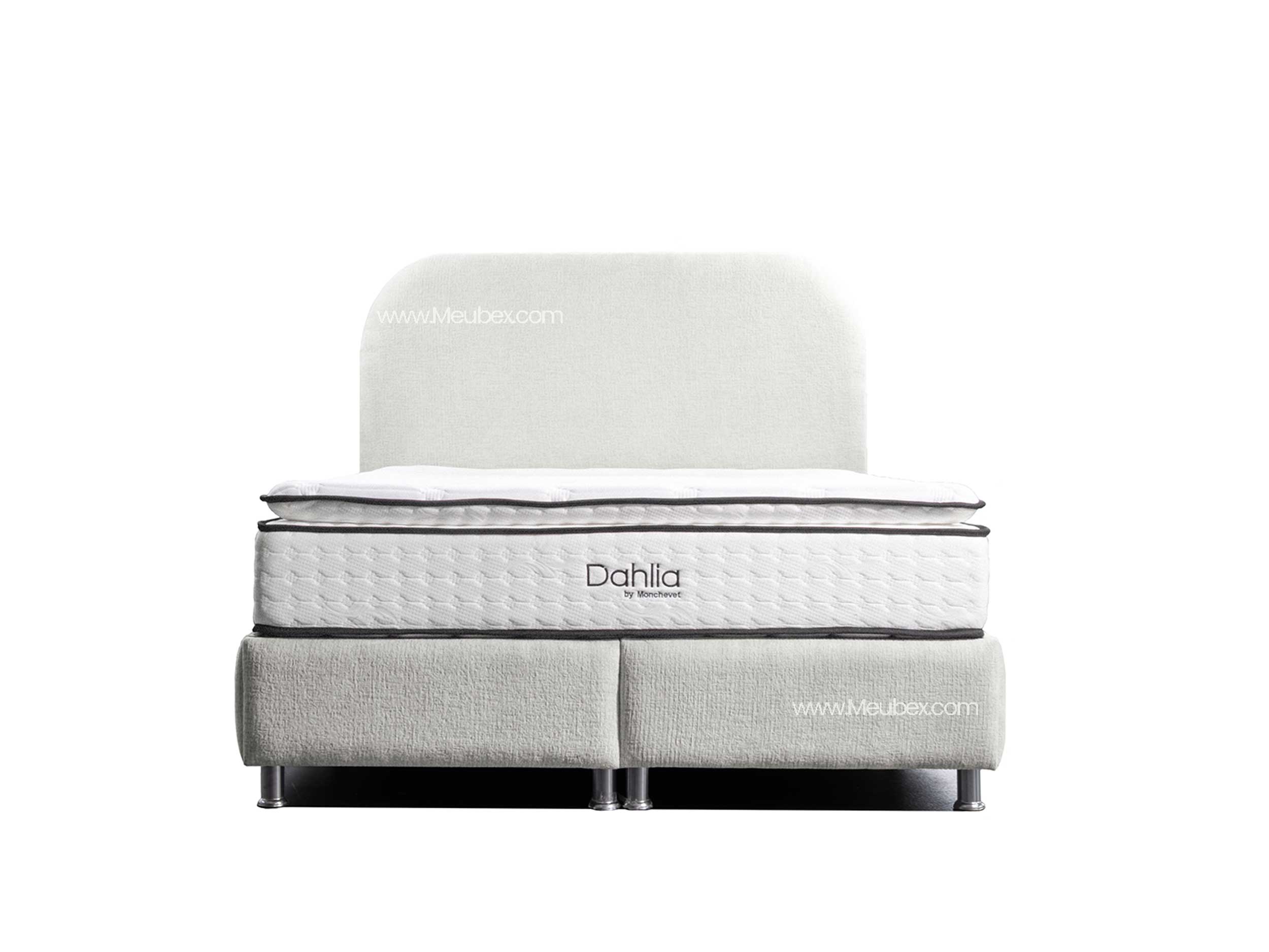 Pack Jade | Dahlia 32cm