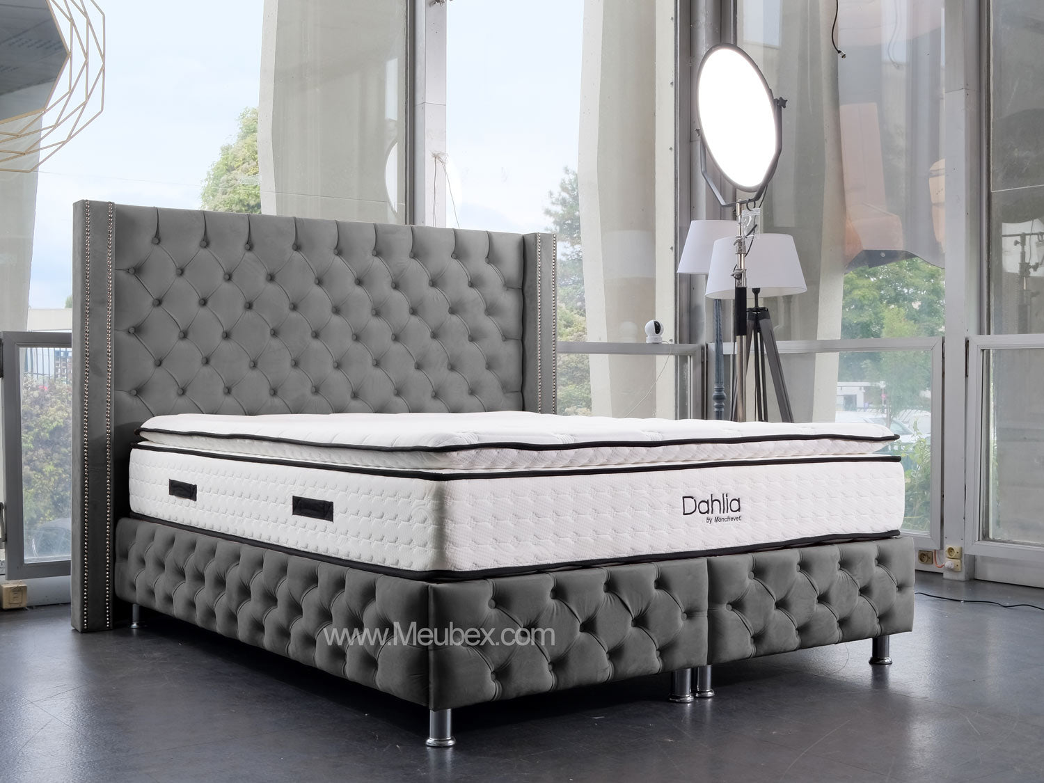 Pack Cloute | Dahlia 32cm