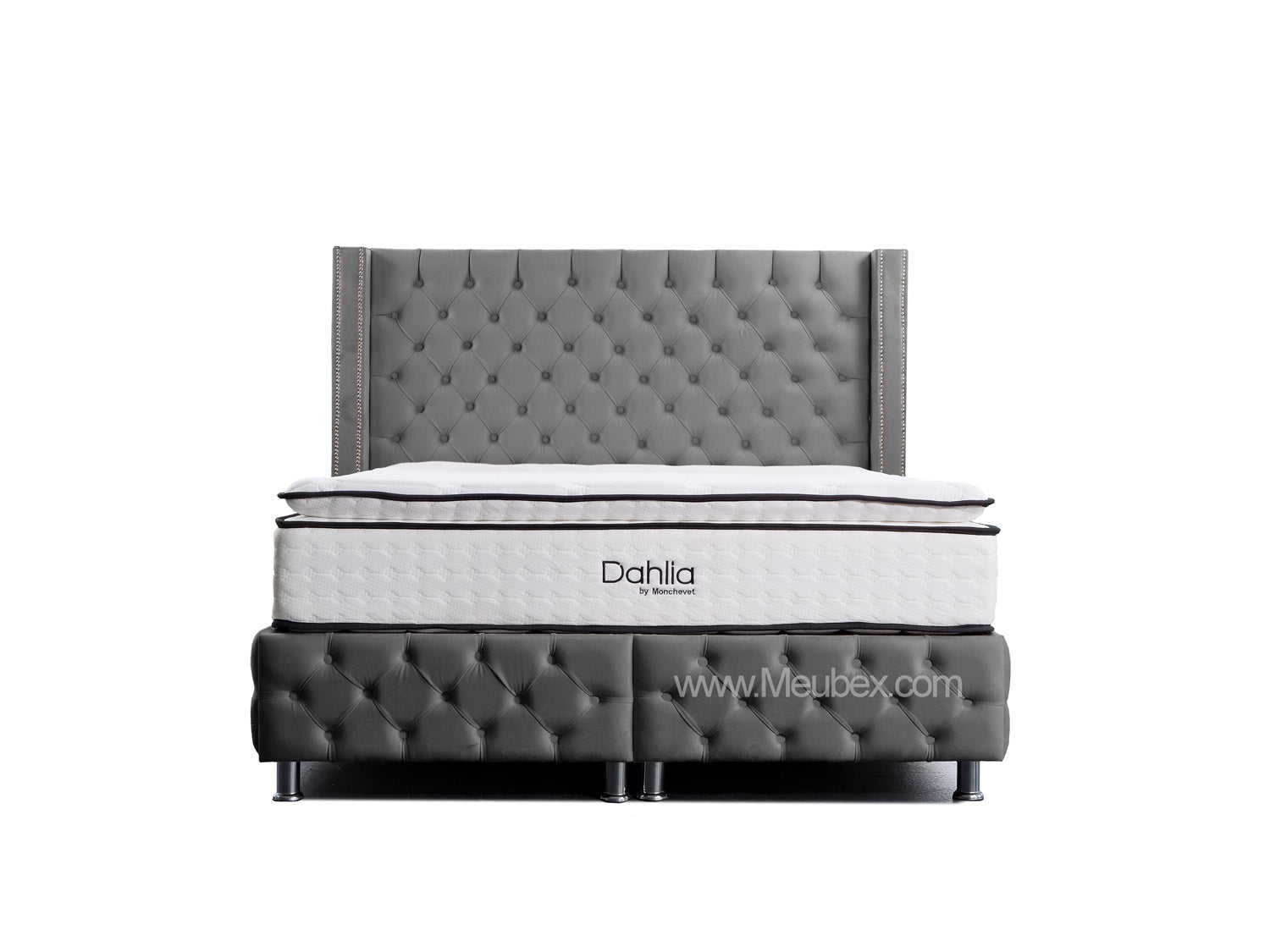 Pack Cloute | Dahlia 32cm