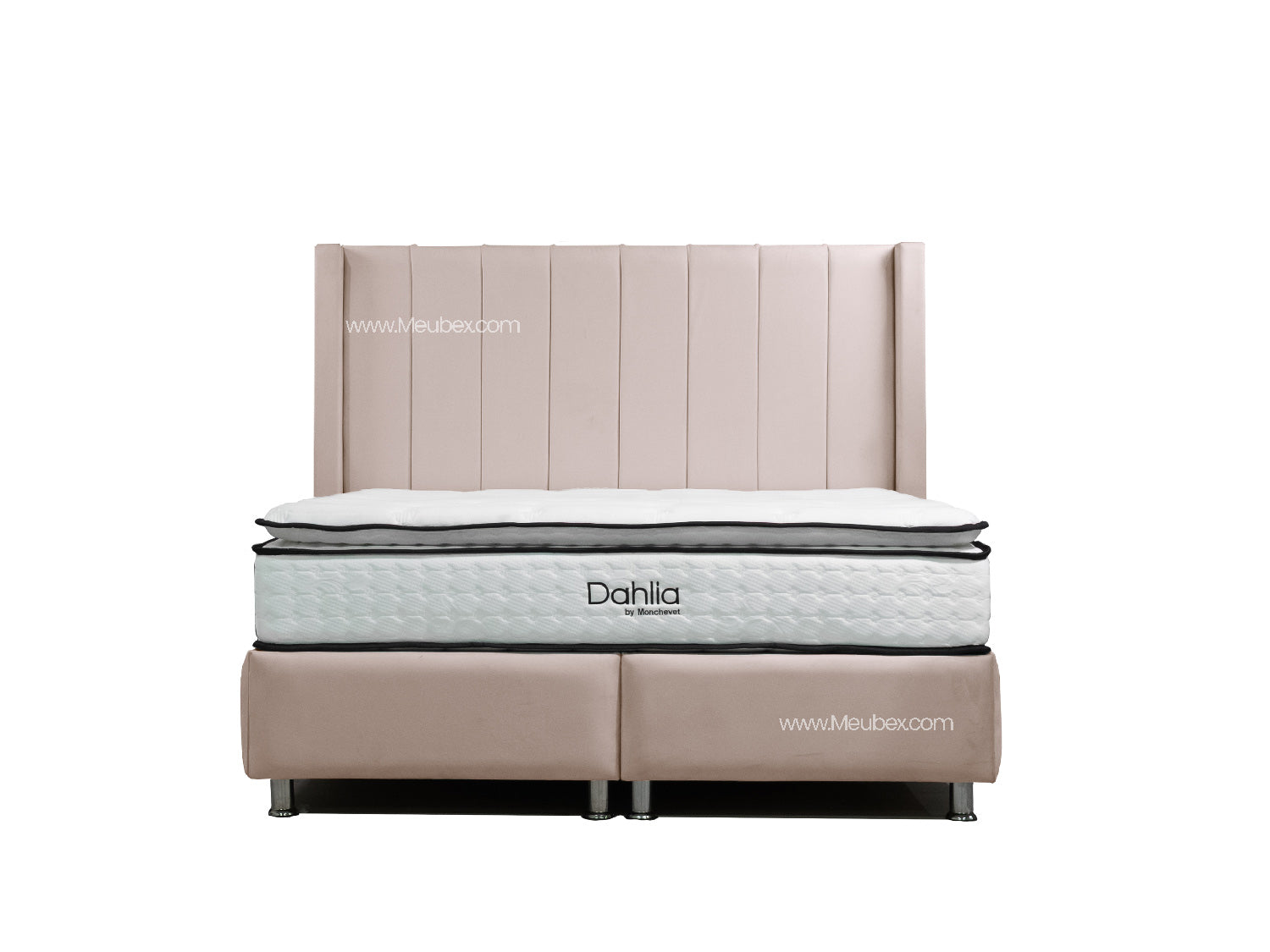 Pack Tokyo | Dahlia 32cm