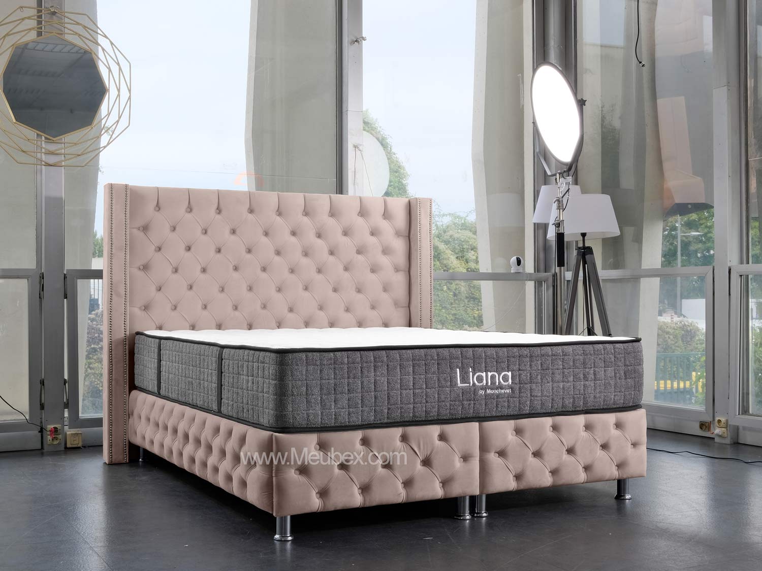Pack Cloute | Liana 30cm