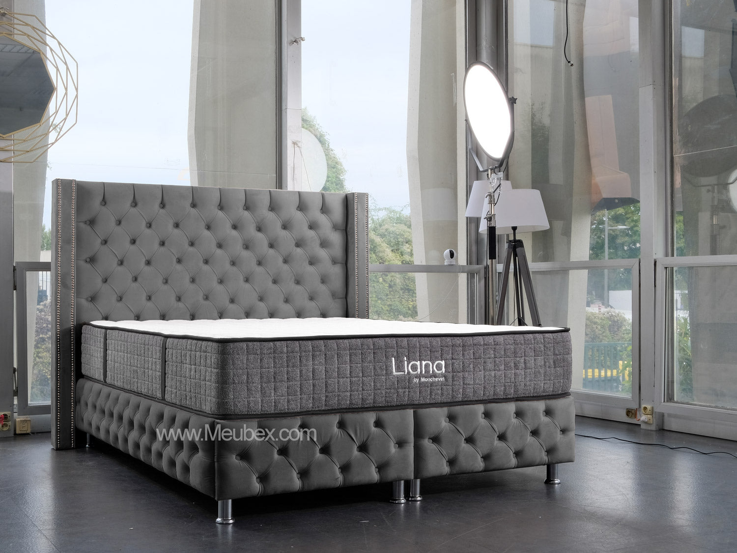 Pack Cloute | Liana 30cm