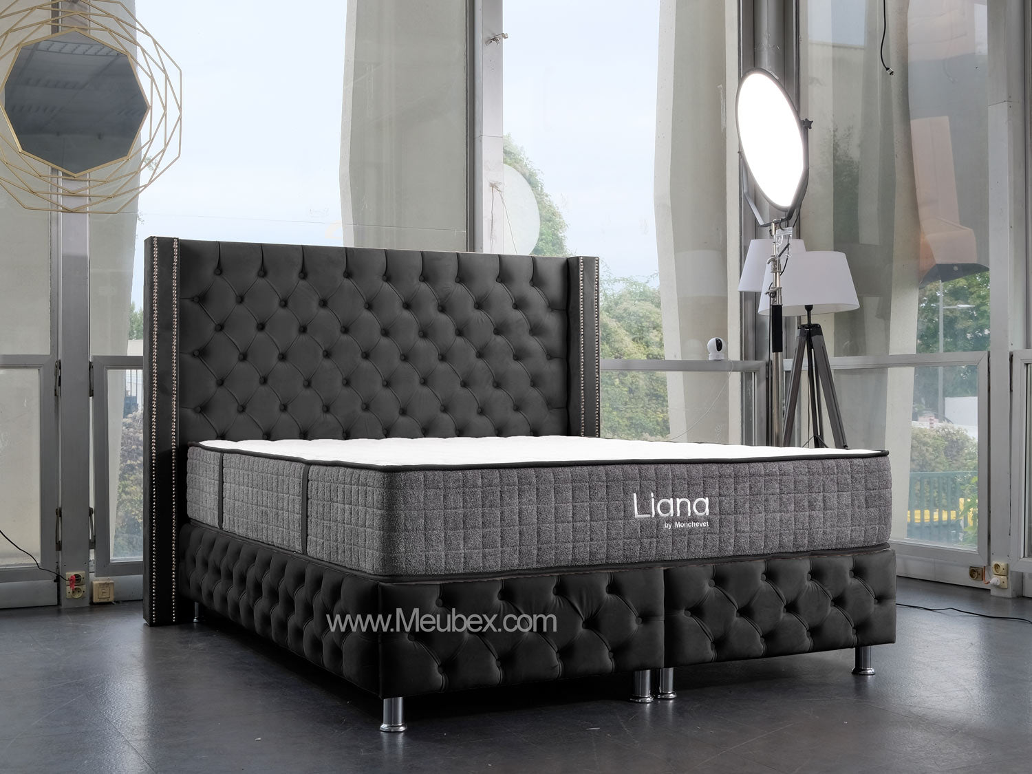 Pack Cloute | Liana 30cm