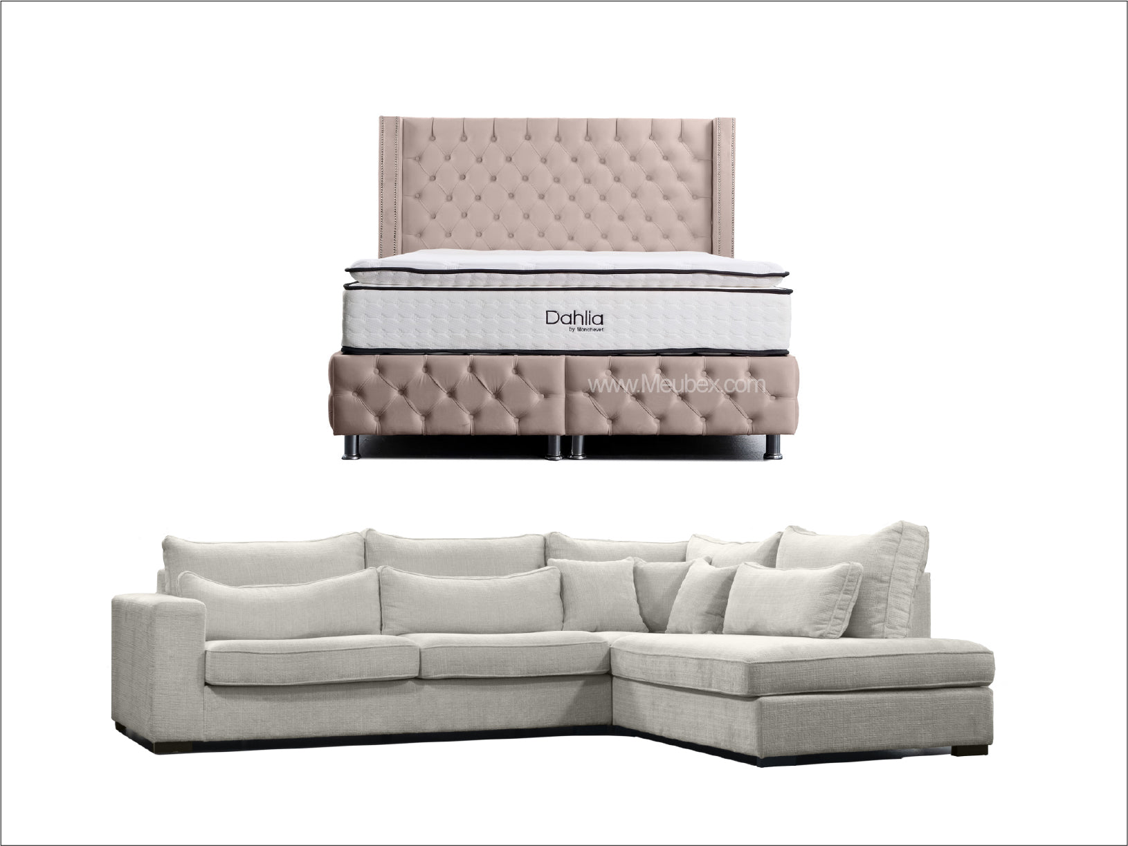 Pack Clouté Beige x Dahlia x  Lexus Marbella Beige