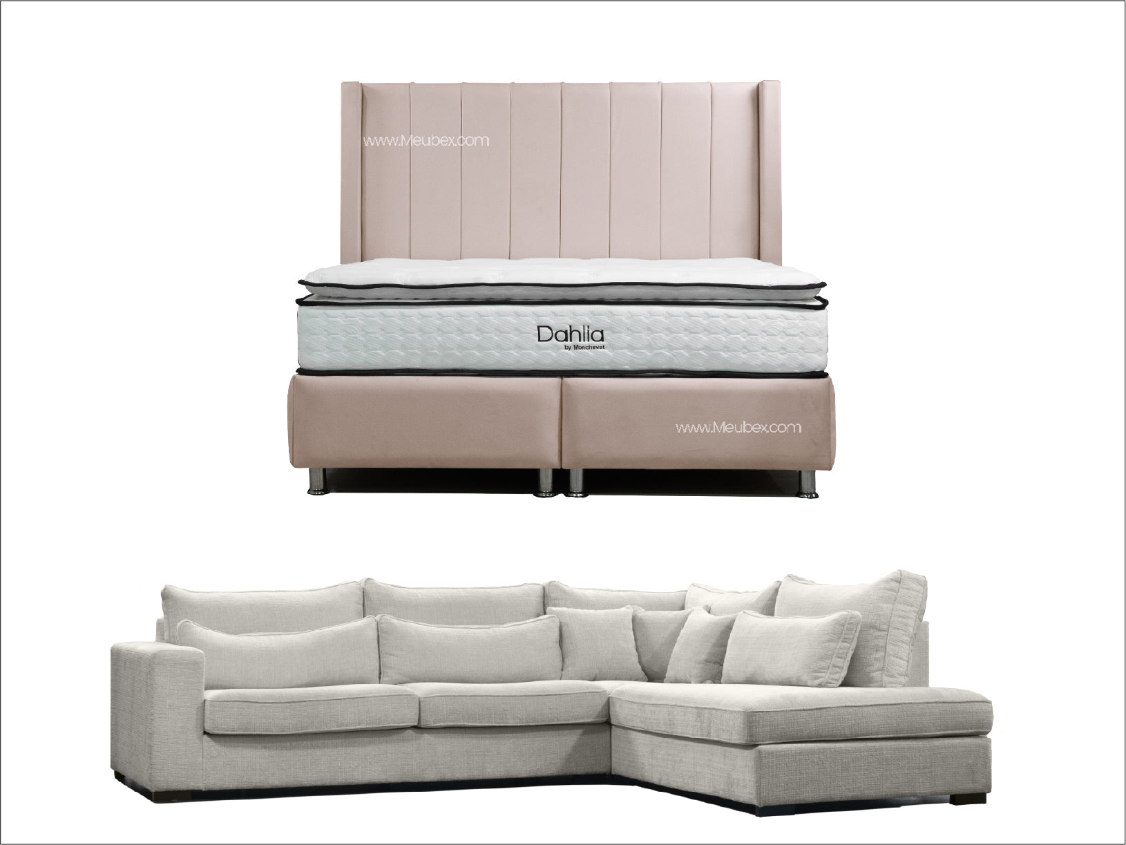 Pack Tokyo Beige x Dahlia x  Lexus Marbella Beige