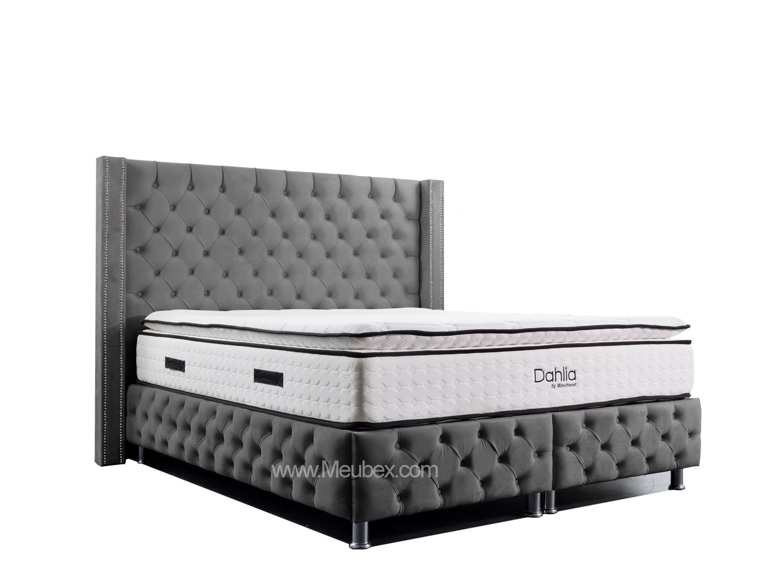 Pack Cloute | Dahlia 32cm