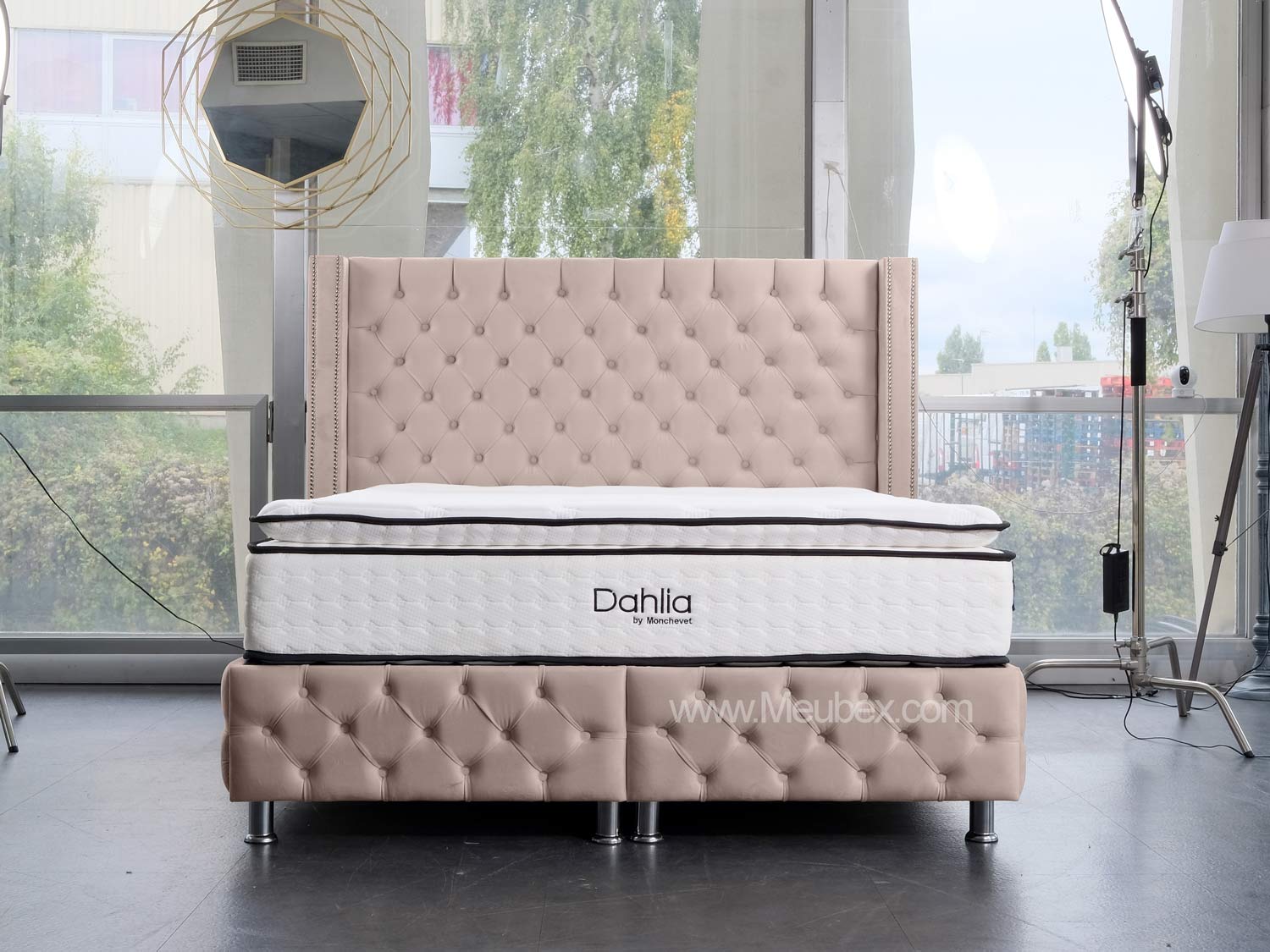 Pack Cloute | Dahlia 32cm