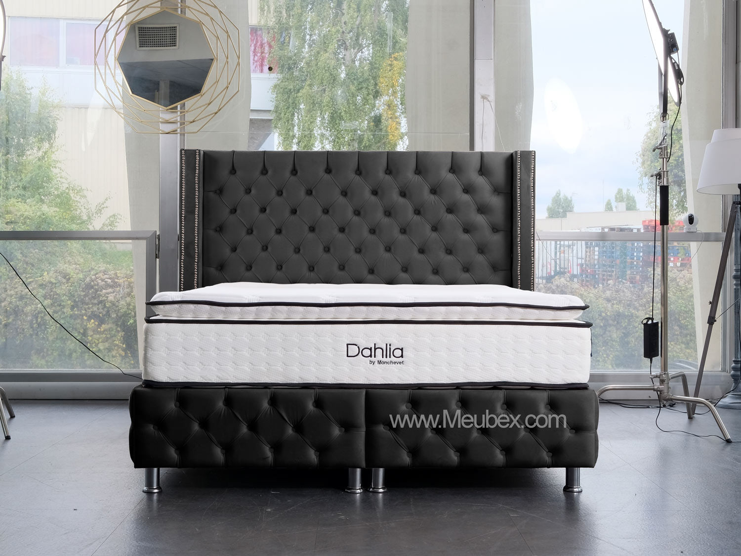 Pack Cloute | Dahlia 32cm