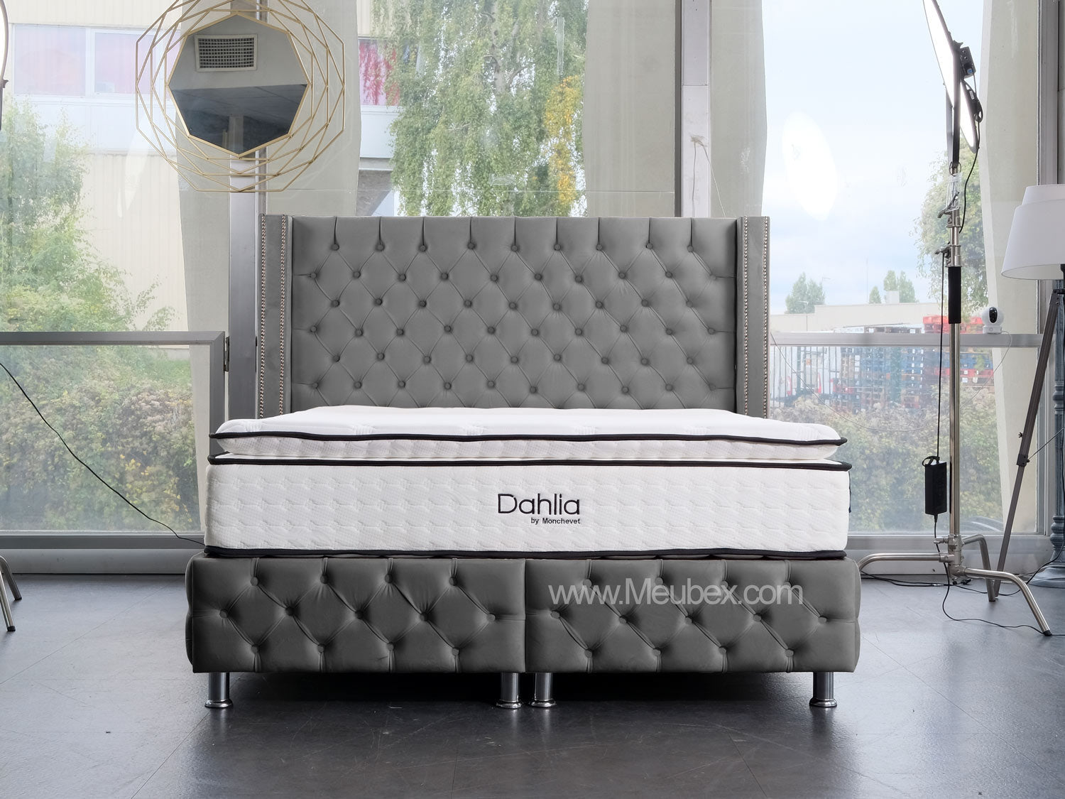 Pack Cloute | Dahlia 32cm