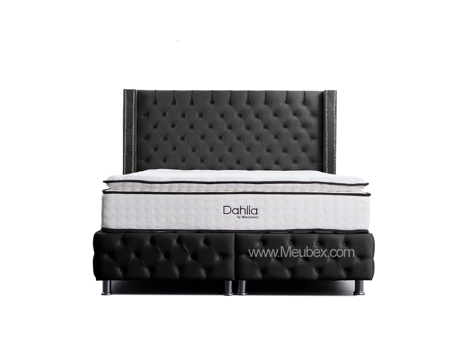 Pack Cloute | Dahlia 32cm