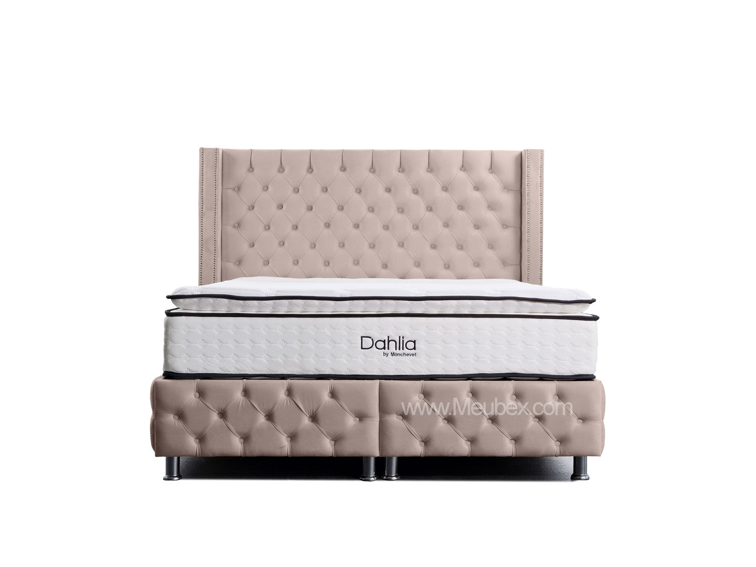 Pack Clouté Beige x Dahlia x  Lexus Marbella Beige